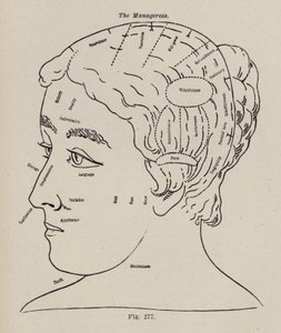 Frenologia, una direttrice (litografia) da European School