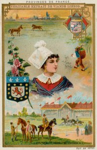 Poitou da European School