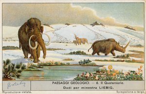 Mondo preistorico, carta Liebig, inizio XX secolo (cromo) da European School