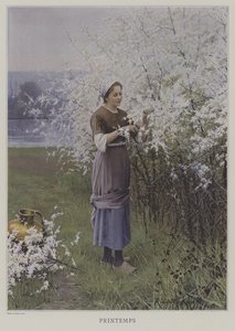 Primavera