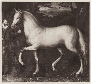 Il Cavallo della Regina Elisabetta da European School