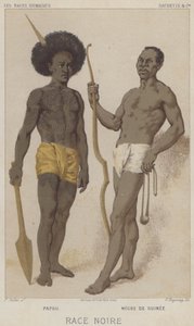 Razza nera, Papu, Nero di Guinea (cromolitografia)