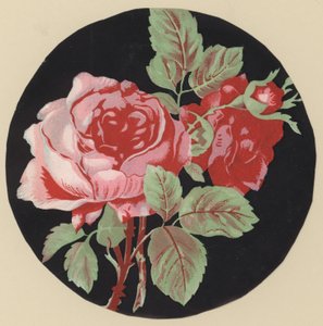 Rosa (litografia a colori) da European School