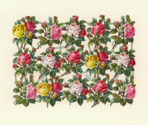 Rose da European School