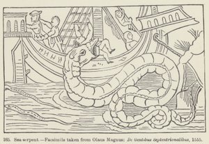 Serpente marino da European School