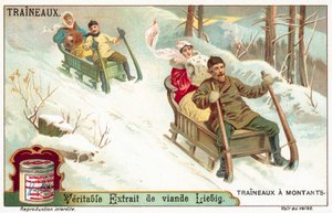 Slittino da European School