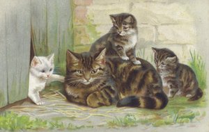 Gatto soriano con tre gattini (cromolito) da European School