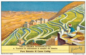 Coltivazione a terrazza ai margini del deserto