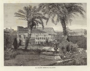 Il Colosseo dal Palatino