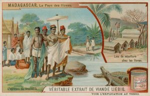 La Terra degli Hova: La Prova del Coccodrillo e il Luogo di Sepoltura degli Hova da European School