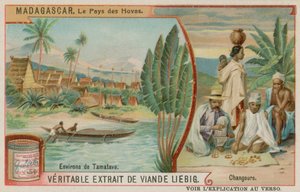 La Terra degli Hova: Toamasina e i Cambiavalute da European School