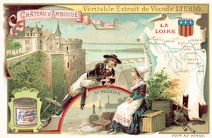 La Loira e una vista del Castello di Amboise