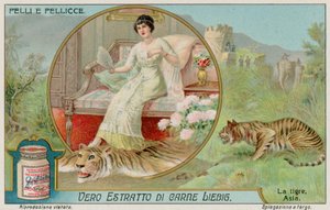 La tigre da European School