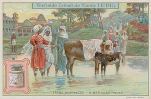 Tradizioni matrimoniali di Varanasi da European School