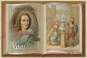 Voltaire da European School