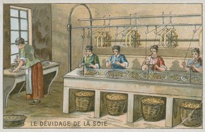 Avvolgimento dei filamenti di seta su bobine da European School