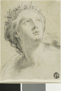 Testa di Donna
