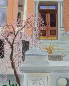 Ciliegio in fiore, Brooklyn, 2017 (disegnato a mano su un iPad con una matita Apple) da Evan Sklar