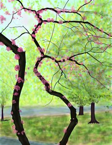 Albero in fiore, Brooklyn (arte digitale) da Evan Sklar