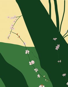 Fiori di ciliegio, 2015 (disegnato a mano su iPad con una matita Apple) da Evan Sklar