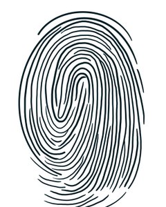 Disegno di un