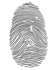Disegno di un