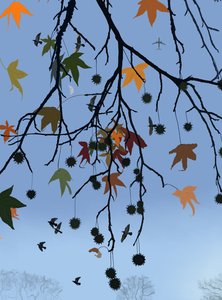 Albero di gomma, uccelli e luna, Brooklyn (arte digitale) da Evan Sklar