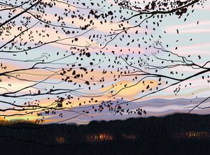Hawk On Branch, prospect park (arte digitale) da Evan Sklar