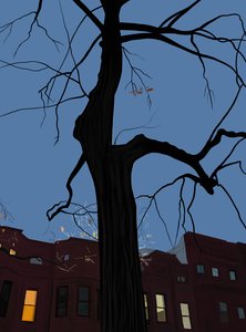 Case e alberi di notte, Brooklyn. (arte digitale) da Evan Sklar