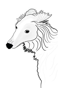 Disegno lineare di Silken Windhound (arte digitale) da Evan Sklar