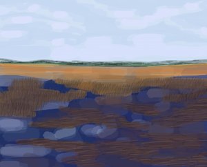 Low Country, 2016 (disegnato a mano su un iPad con una matita Apple) da Evan Sklar