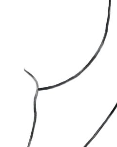 Nudo. (arte digitale) da Evan Sklar