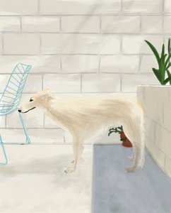 Penny On The Back Porch 2017 (disegnato a mano su un iPad con una matita Apple) da Evan Sklar
