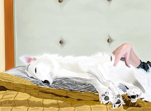 Penny su un piumino giallo, Brooklyn (arte digitale) da Evan Sklar