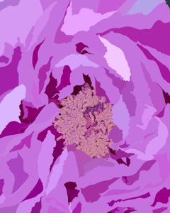 Peonia arborea, 2020-24 circa (arte digitale)