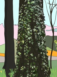 Albero con edera (arte digitale) da Evan Sklar