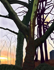 Alberi, Prospect Park, Brooklyn (arte digitale) da Evan Sklar