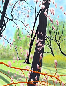 Albero dei tulipani da Evan Sklar