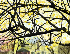 Albero in fiore giallo, Brooklyn (arte digitale)