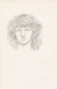 Testa di una ragazza da Evelyn De Morgan