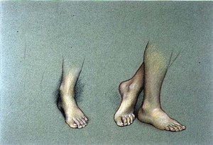 Studio di piedi da Evelyn De Morgan
