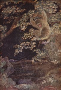 La medusa e la scimmia, illustrazione da 