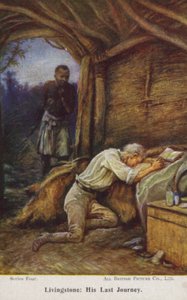 David Livingstone da Evelyn Stuart Hardy