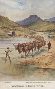 Contadini che guidano il bestiame, Sudafrica (litografia a colori) da Evelyn Stuart Hardy
