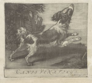 Cane che salta, Canis Venaticus da Evert van Sweinen