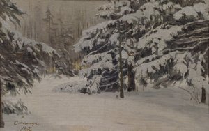 Inverno sulle isole di San Pietroburgo, 1912 da Evgeni Ivanovich Stolitsa