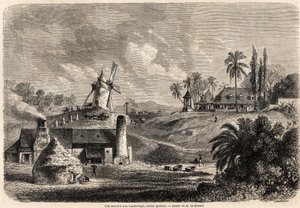 Una fabbrica di zucchero in Guadalupa, disegno di Auguste de Berard (1824-1881), per illustrare i viaggi nelle Indie Occidentali, nel 1858-1859, di Anthony Trollope (1815-1882). Incisione in 