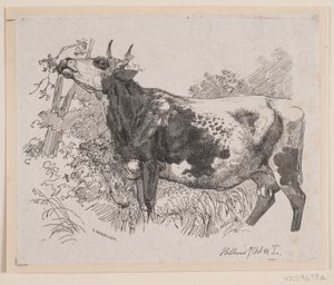 Una Mucca che Spoglia i Rami di un Albero da F. Hendriksen