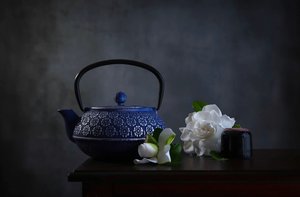 Gardenie "Teiera blu"