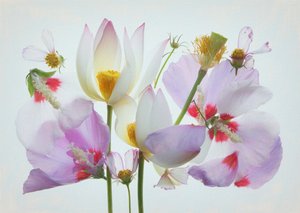  da Fangping Zhou